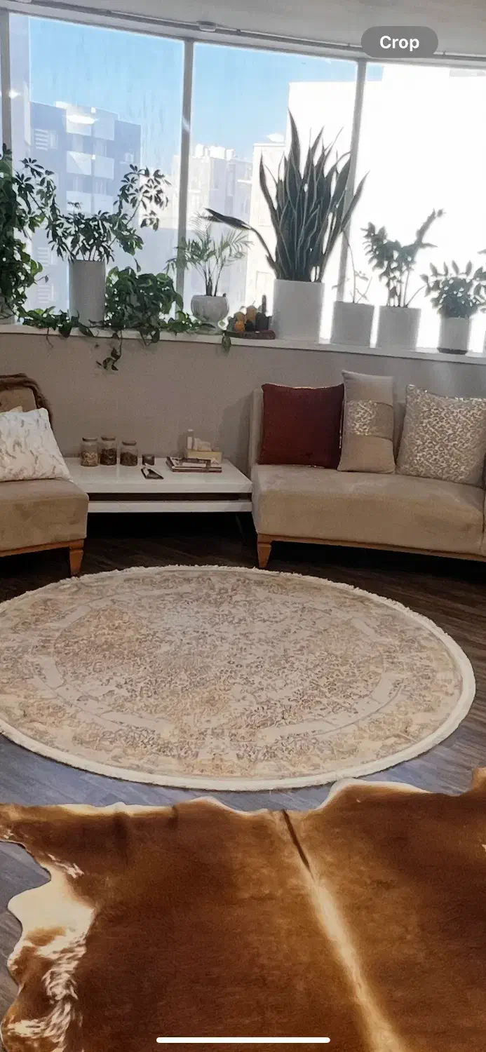 فرش گرد|فرش|بندرعباس, |دیوار