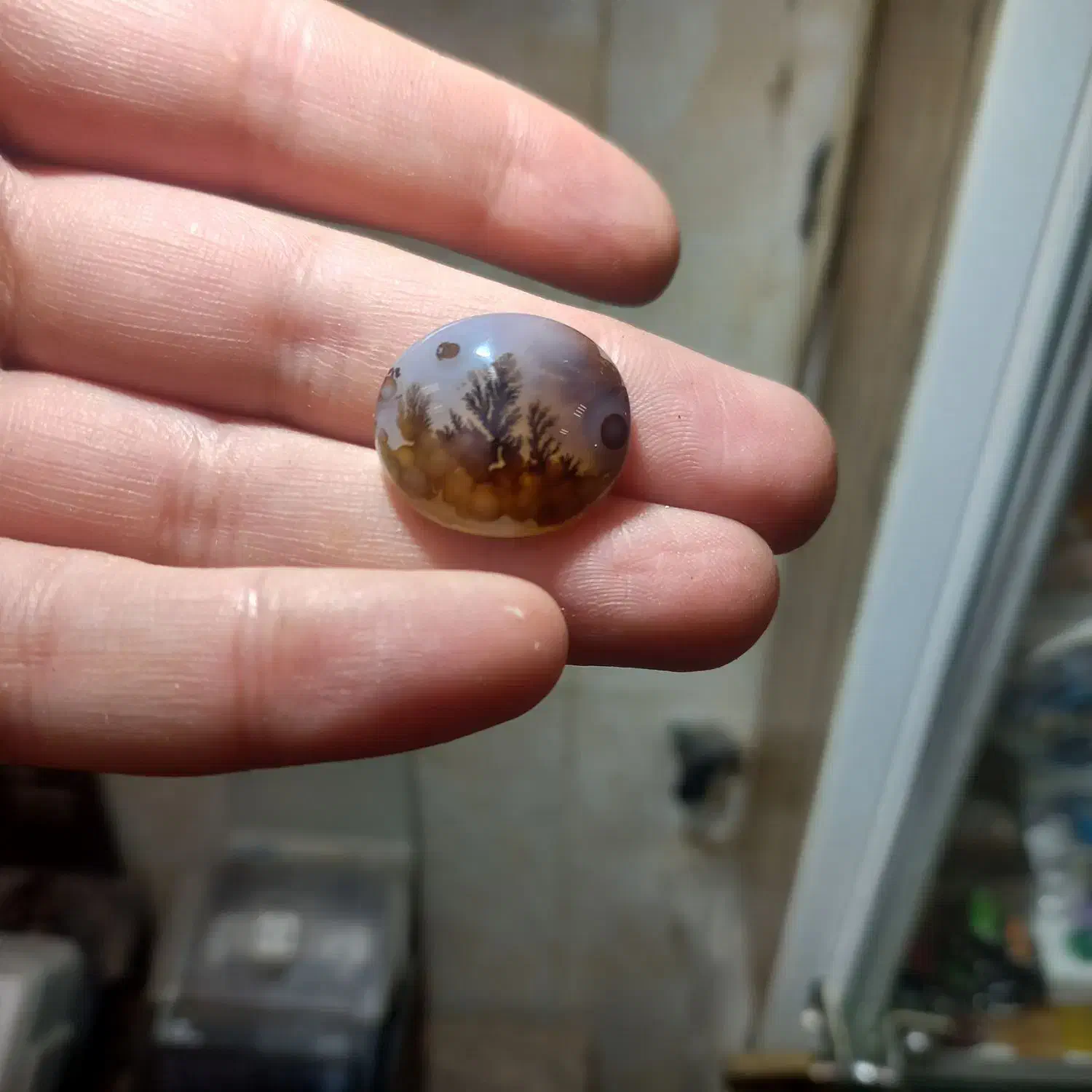 نگین شجر طبیعی|جواهرات|اردبیل, |دیوار