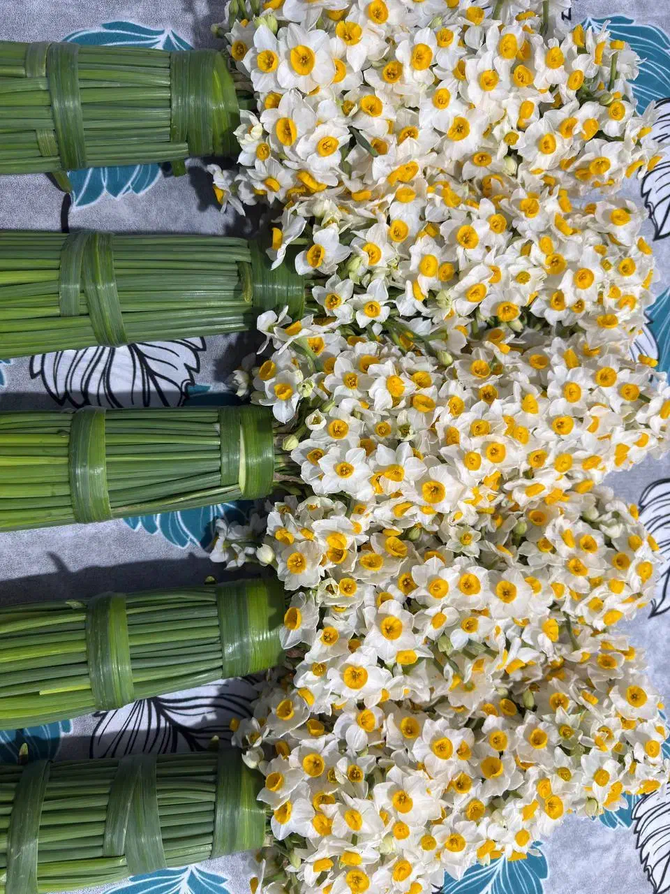 گل نرگس|گل و گیاه طبیعی|تهران, نارمک|دیوار