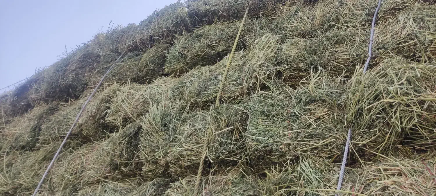 یونجه خشک انباری|عمده‌فروشی|شاهرود, |دیوار