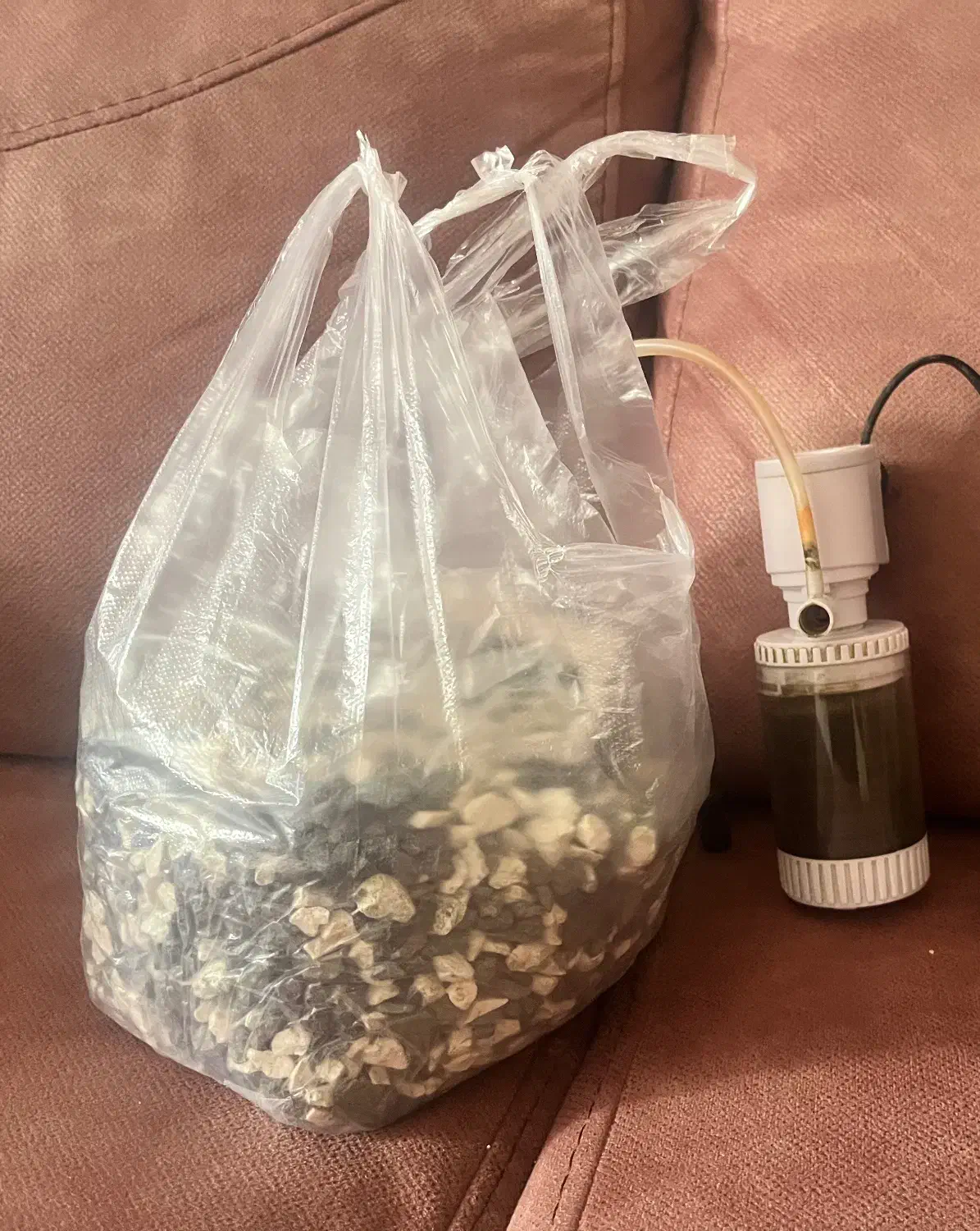 لوازم اکواریوم|ماهی|کاشمر, |دیوار