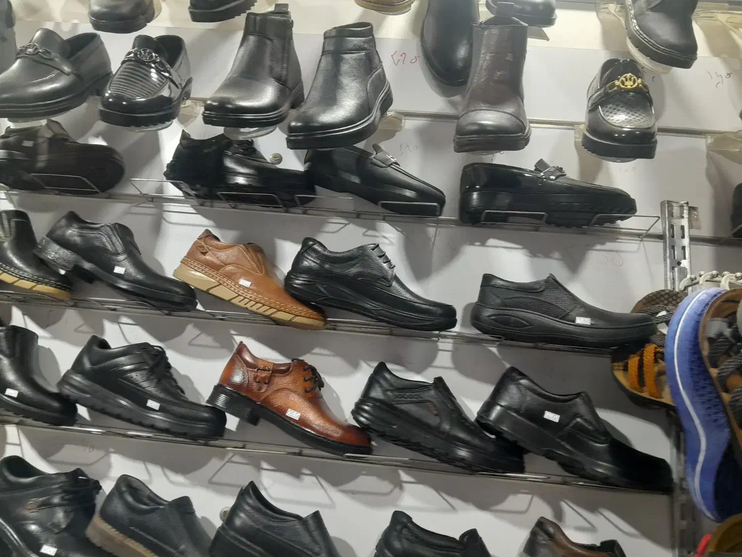 انواع کفشهای مردانه زنانه بچه گانه|کیف، کفش، کمربند|گرمسار, |دیوار