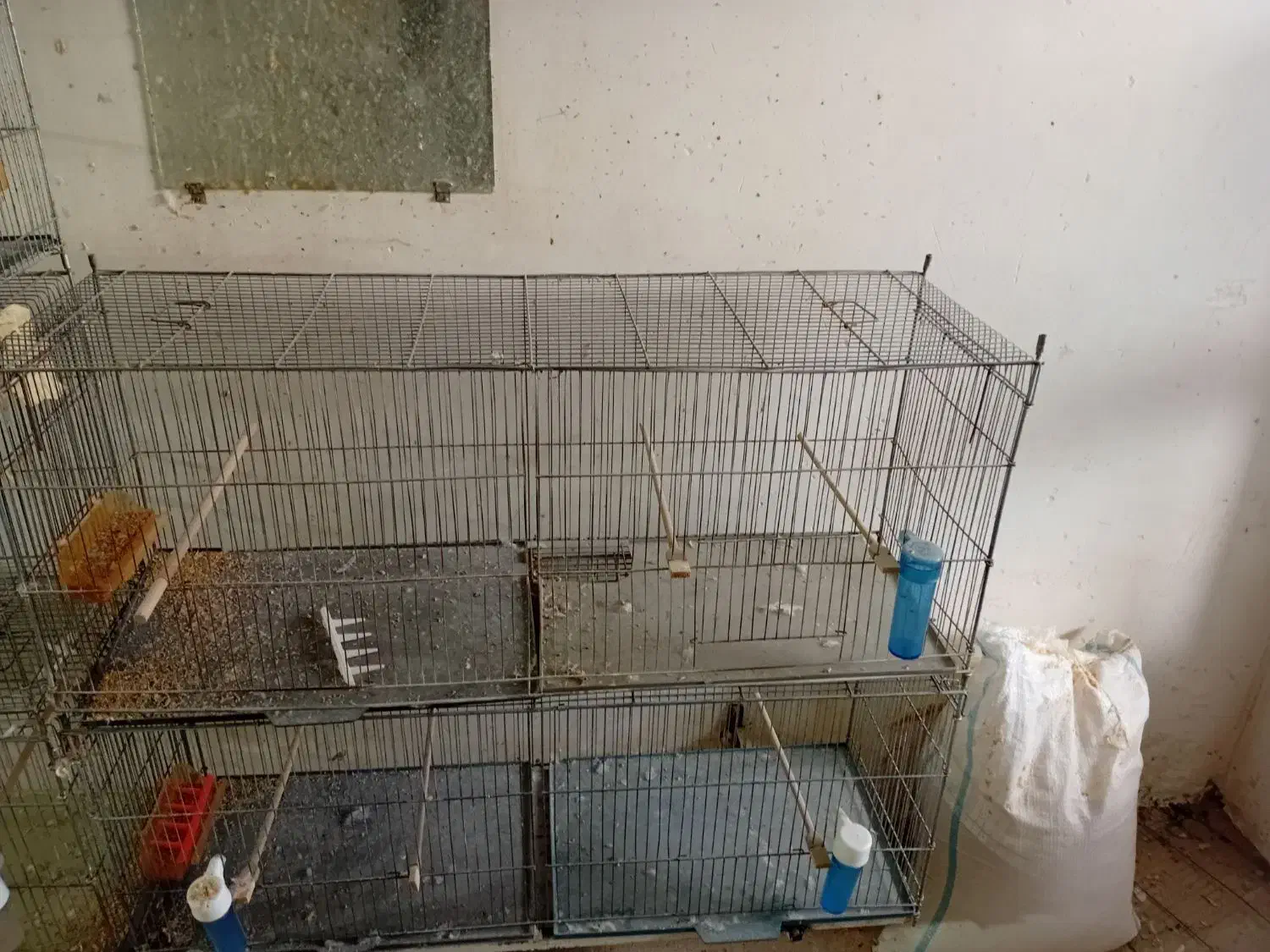 قفس‌‌قناری‌۲عددفروشی|لوازم جانبی حیوانات|بجنورد, |دیوار