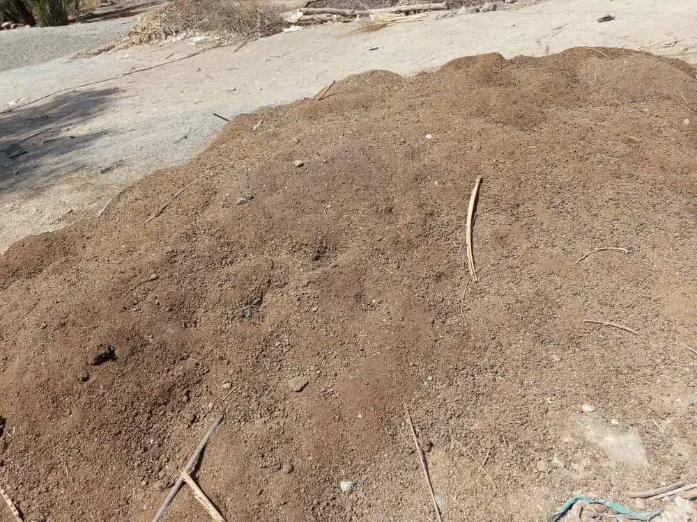 فروش کود گوسفندی|خدمات باغبانی و درختکاری|رودان, |دیوار