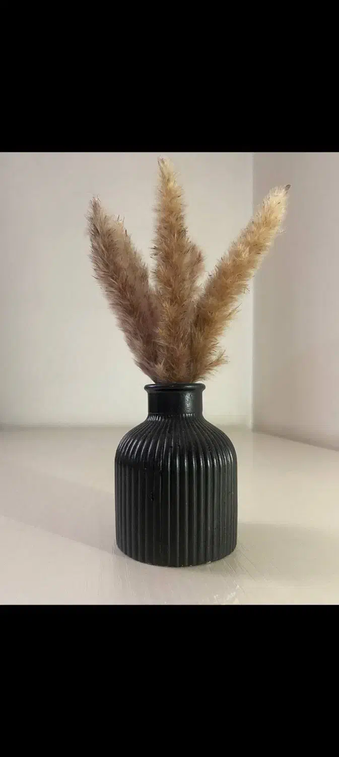 گلدون سنگی|گل و گیاه طبیعی|کرج, کوی امامیه|دیوار