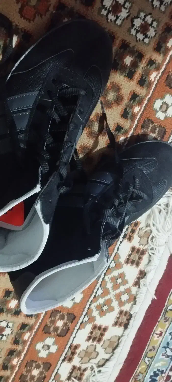 کفش و دستکش بوکس|تجهیزات ورزشی|سبزوار, همت|دیوار