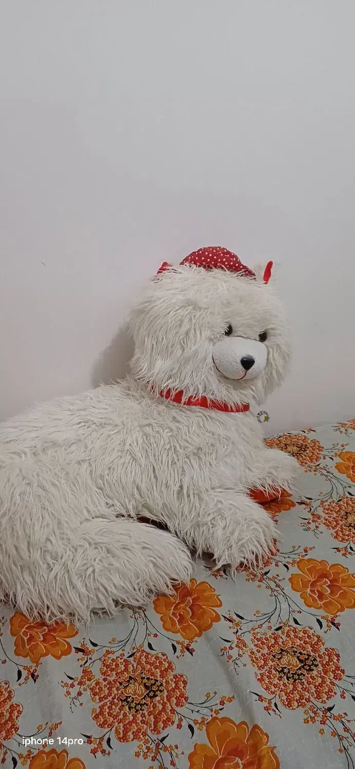 عروسک گربه بزرگ فقط 250 تومن|اسباب‌‌بازی|تربت جام, شهرک معلم|دیوار