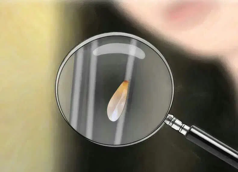 محلول ضد شپش از بین برنده تخم شپش (رشک) پنج دقیقه|آرایشی، بهداشتی، درمانی|بم, |دیوار