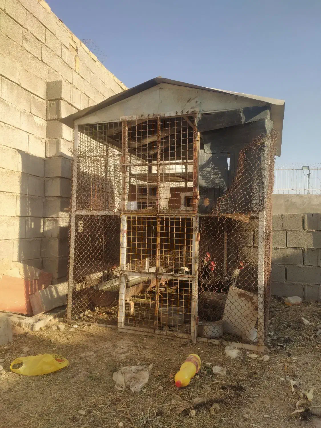 قفس بزرگ|لوازم جانبی حیوانات|شیراز, بید زرد|دیوار