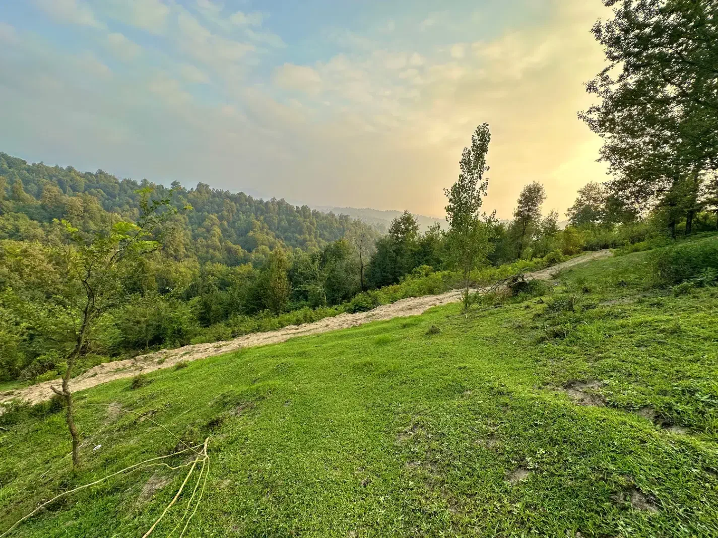 زمین روستایی (1500متری کوهپایه)  در شهرستان سیاهکل|فروش زمین و ملک کلنگی|رشت, گیل|دیوار