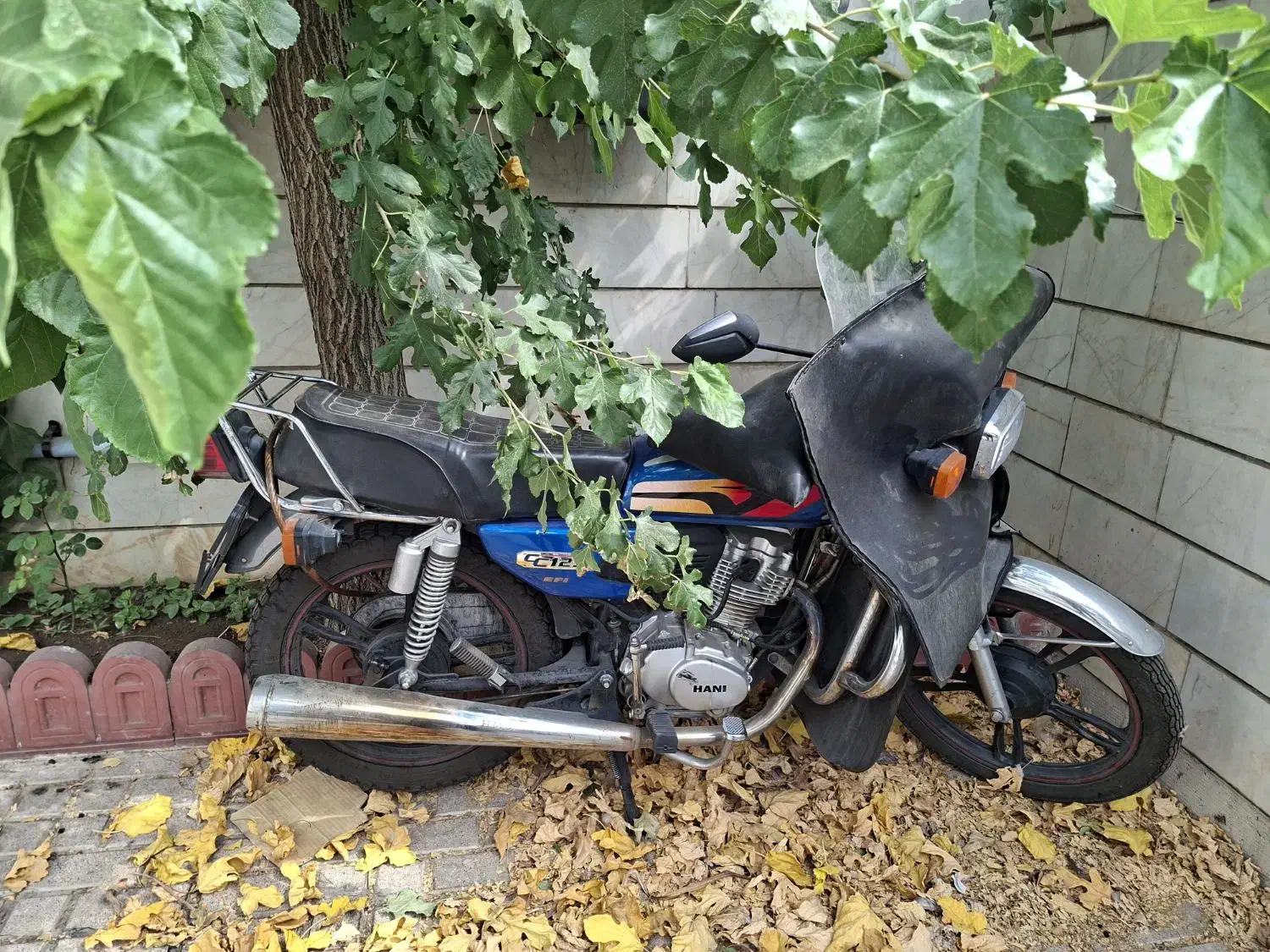 هوندا ۱۲۵ هانی موتور مدل ۱۴۰۳|موتورسیکلت|تهران, کرمان|دیوار