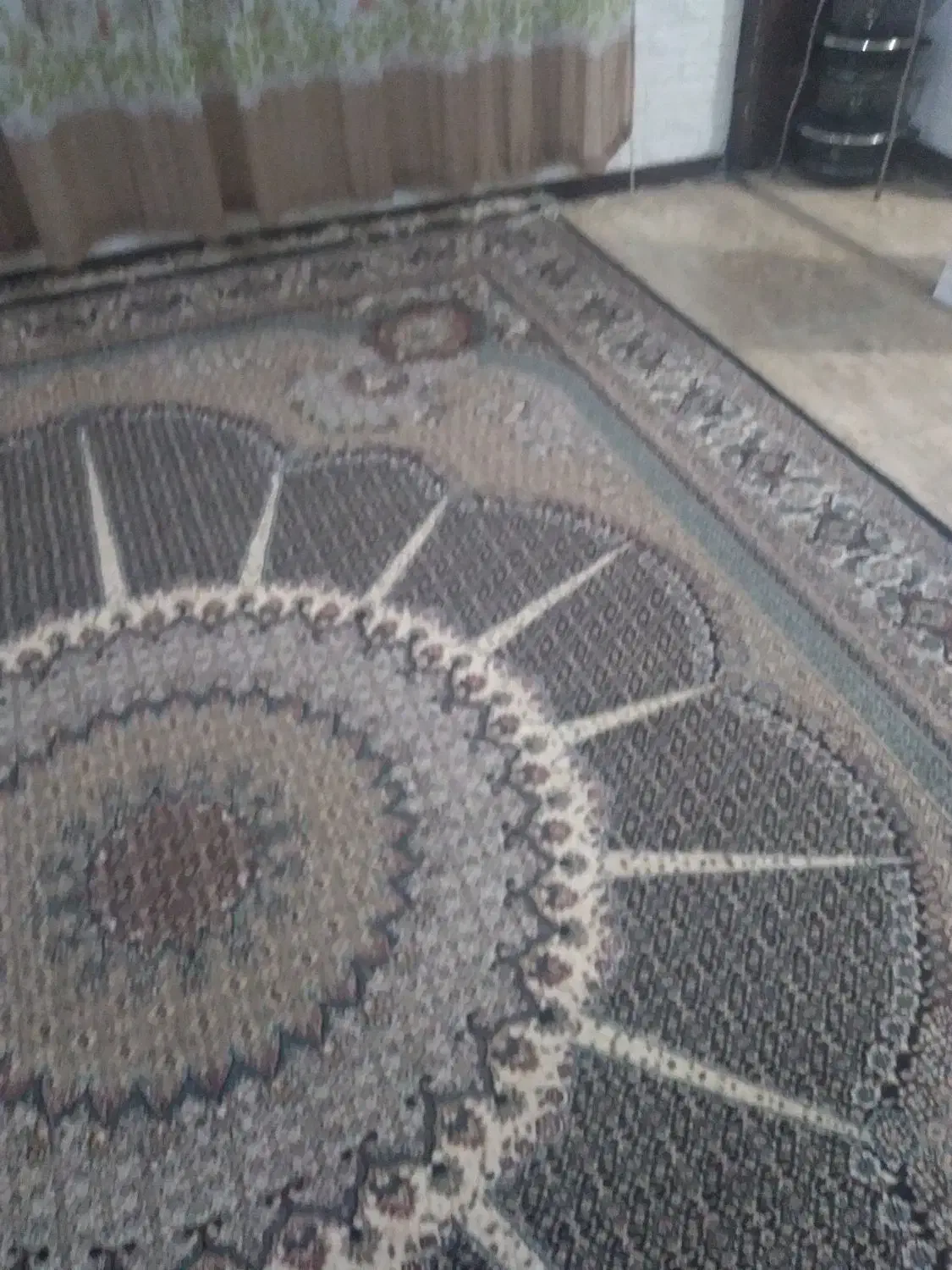 فرش ۱۲متری قدیمی جنس خوب|فرش|بندرعباس, |دیوار