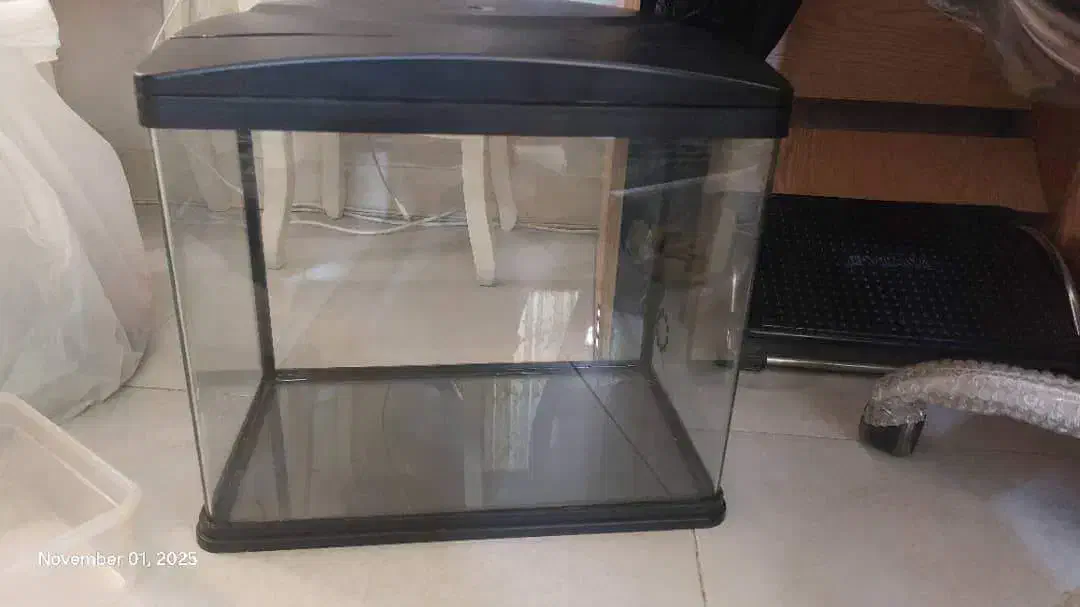 آکواریوم ماهیران|ماهی|فردیس, خیام شرقی|دیوار