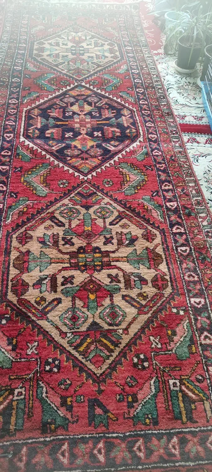 کناره فرش دستباف|گلیم، جاجیم، گبه|قم, چهل درخت‎|دیوار