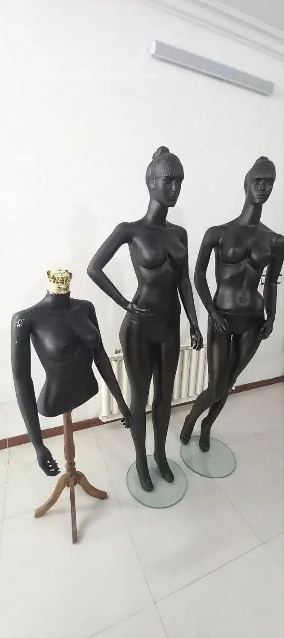 فروش مانکن|فروشگاه و مغازه|نیشابور, محله میدان باغات|دیوار