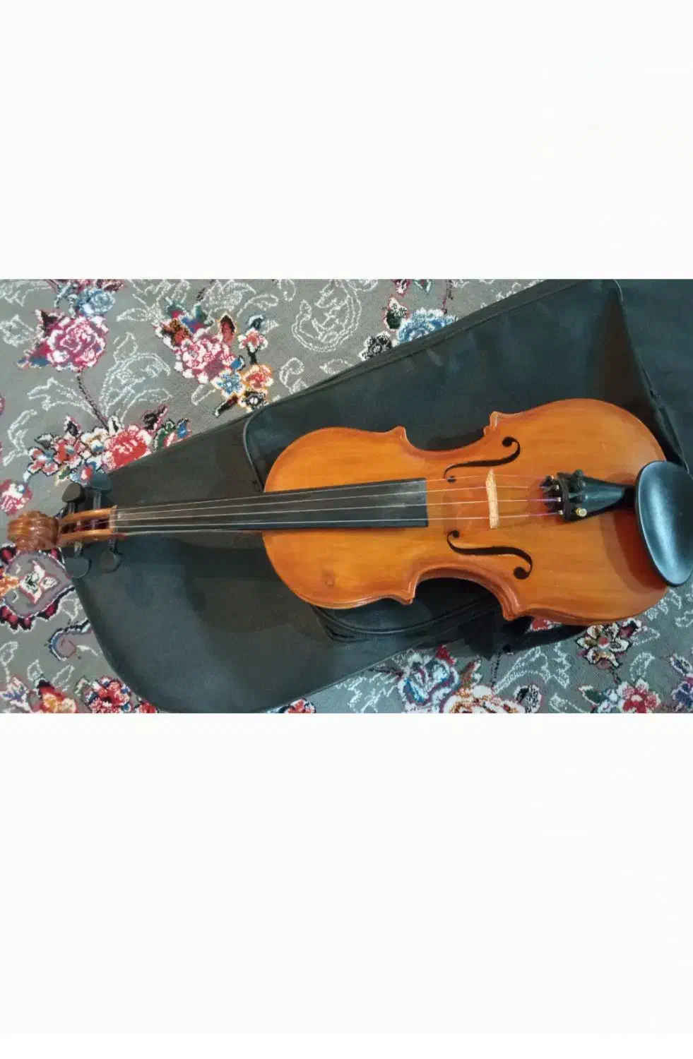 ویلن|ویولن|بهبهان, |دیوار