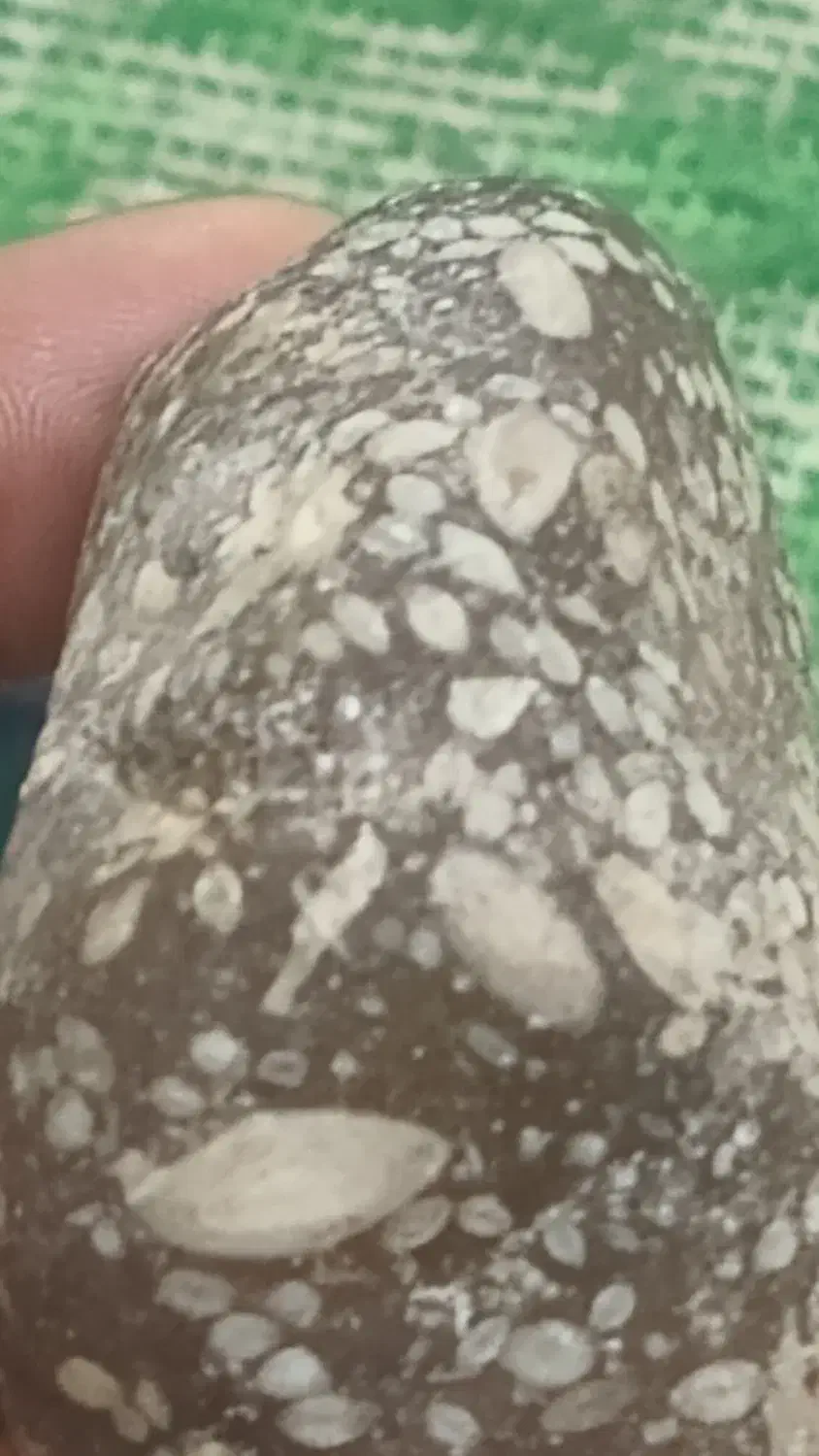 سنگفسیل|جواهرات|قم, قلعه کامکار|دیوار