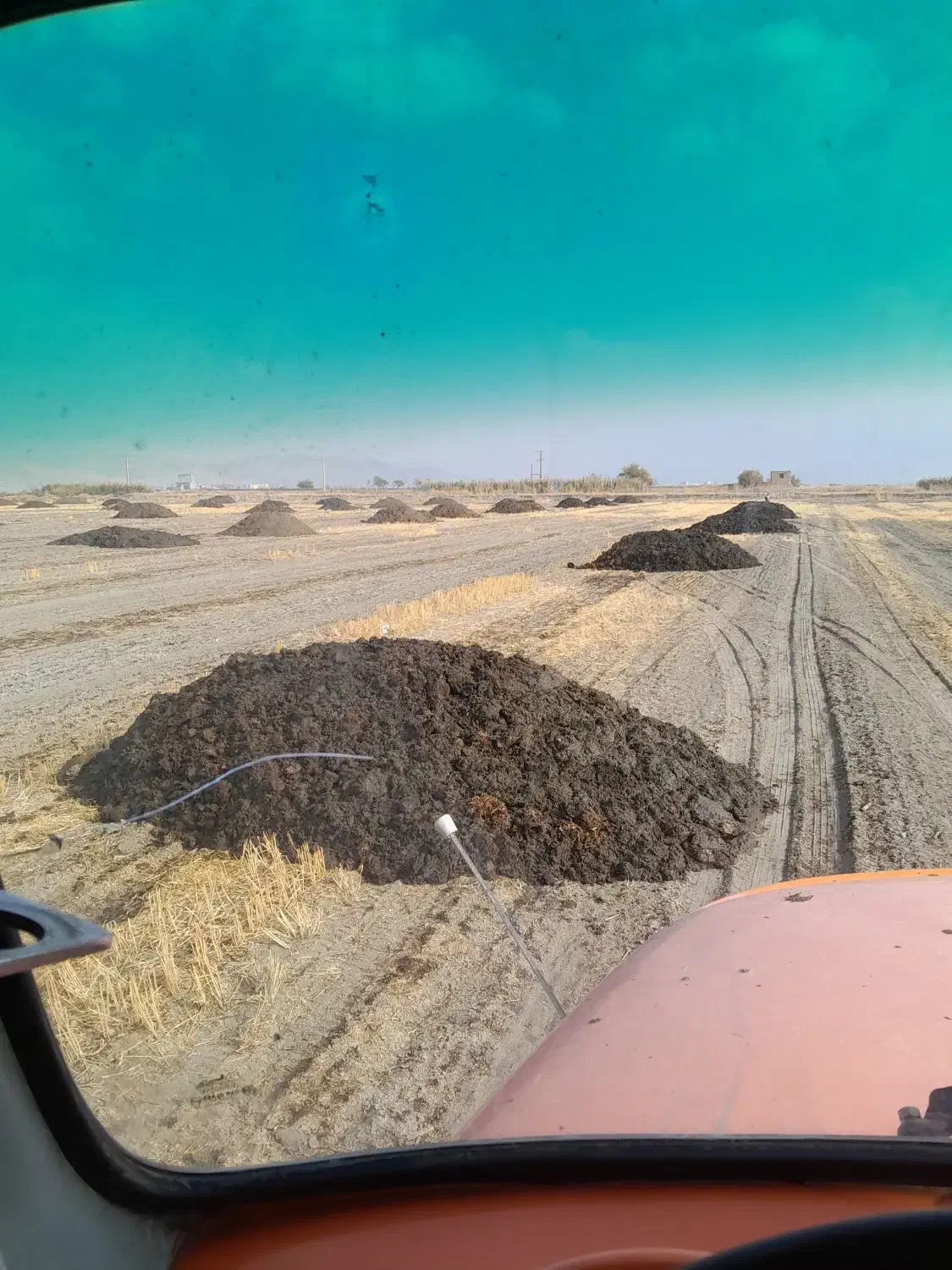 کود حیوانی|خدمات باغبانی و درختکاری|بیستون, |دیوار