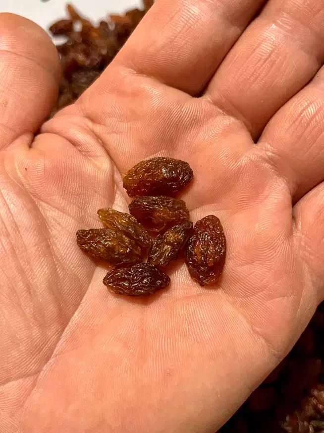 کشمش قلمی بدون هسته و ارگانیک|خوردنی و آشامیدنی|شیراز, میانرود|دیوار