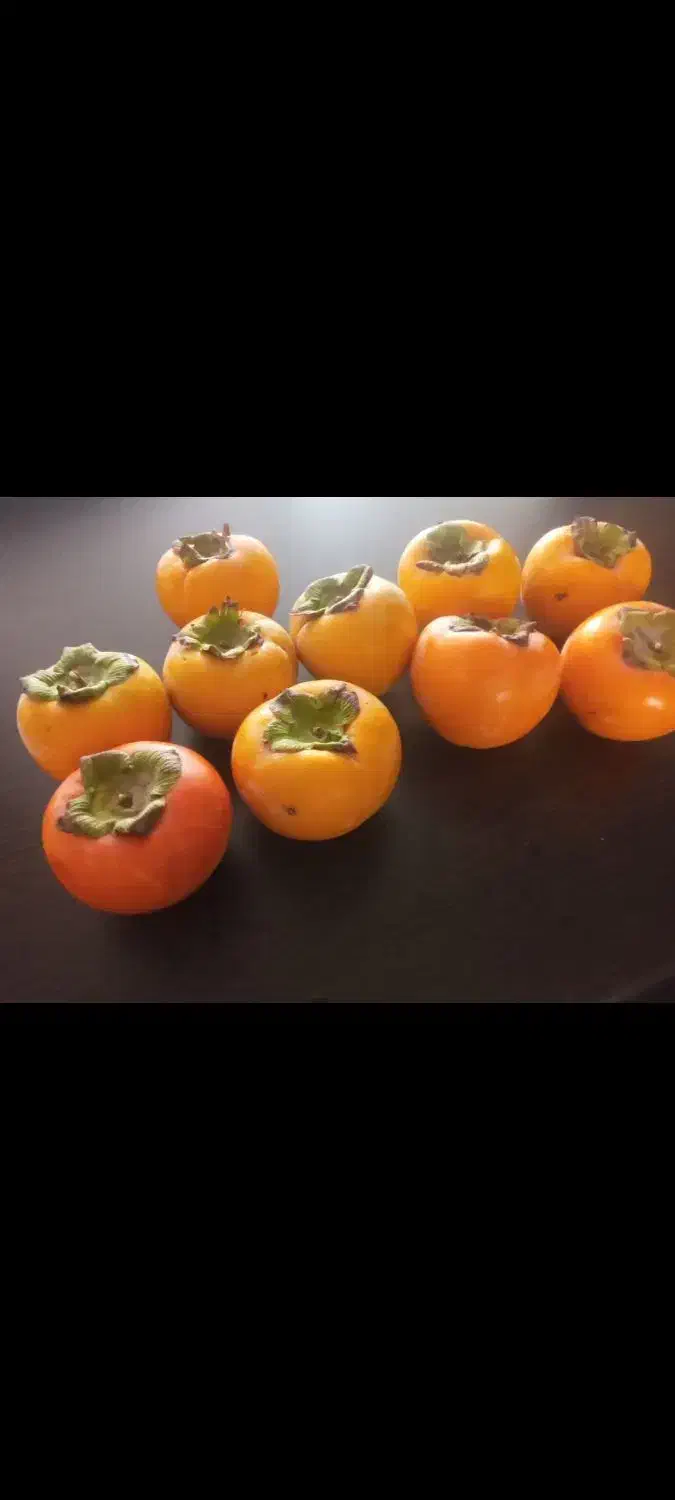 خرمالو ژاپنی|خوردنی و آشامیدنی|آذرشهر, |دیوار