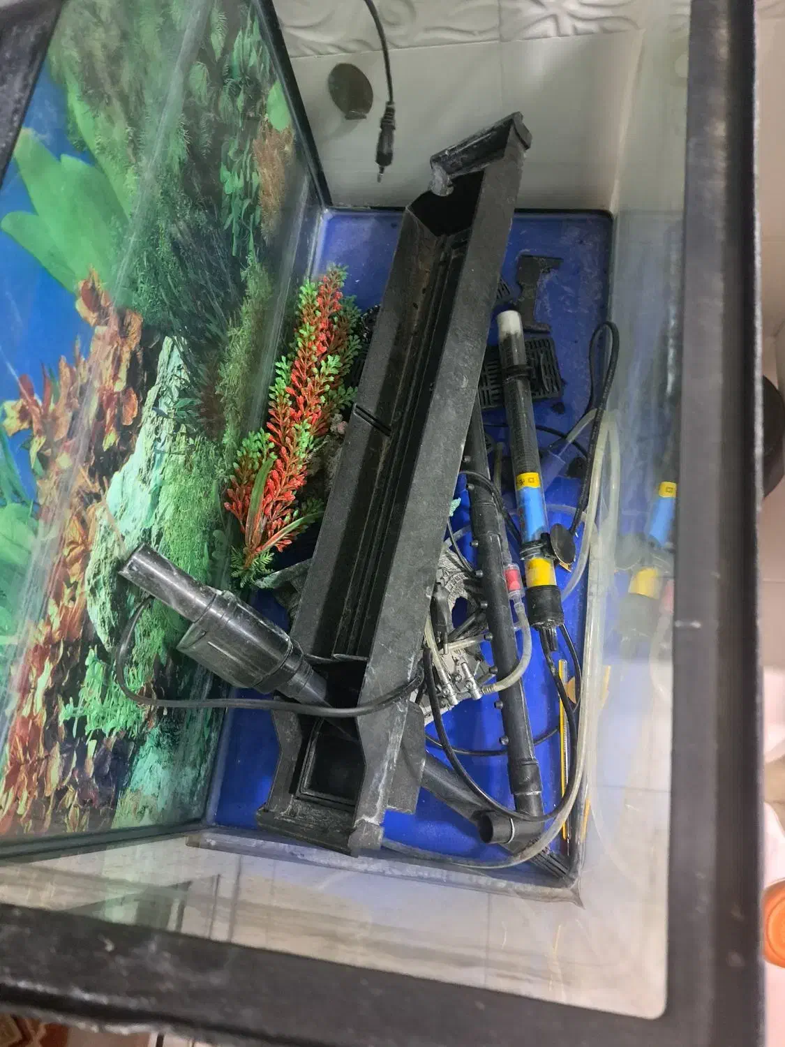 فروش یک عدد آکواریوم|ماهی|میناب, |دیوار