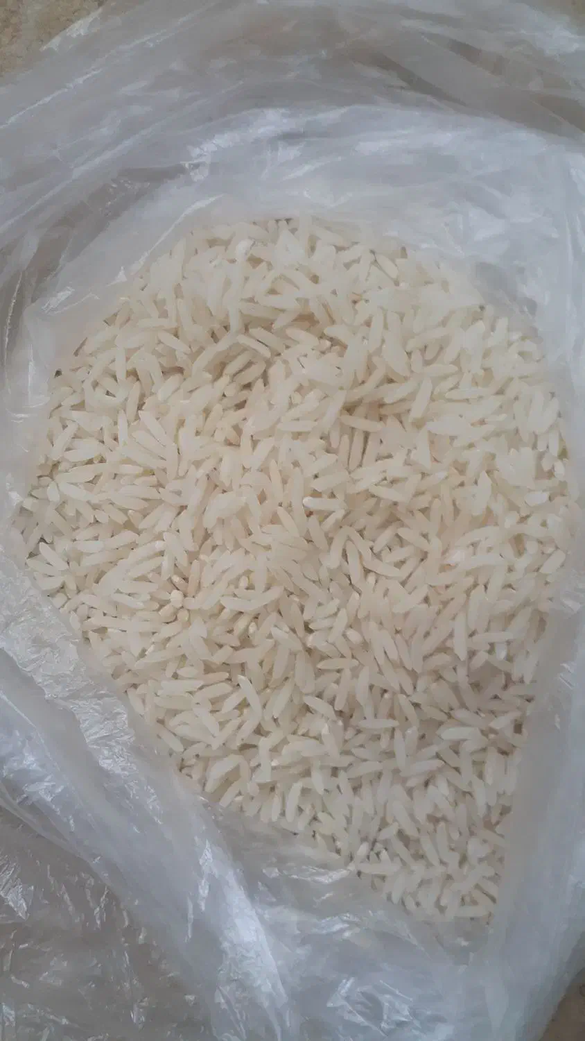 برنج قائم اطمینان درهردانه|عمده‌فروشی|بابلسر, |دیوار