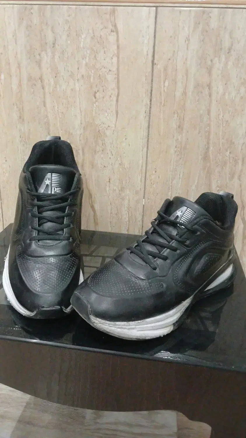 کفش|کیف، کفش، کمربند|کازرون, |دیوار