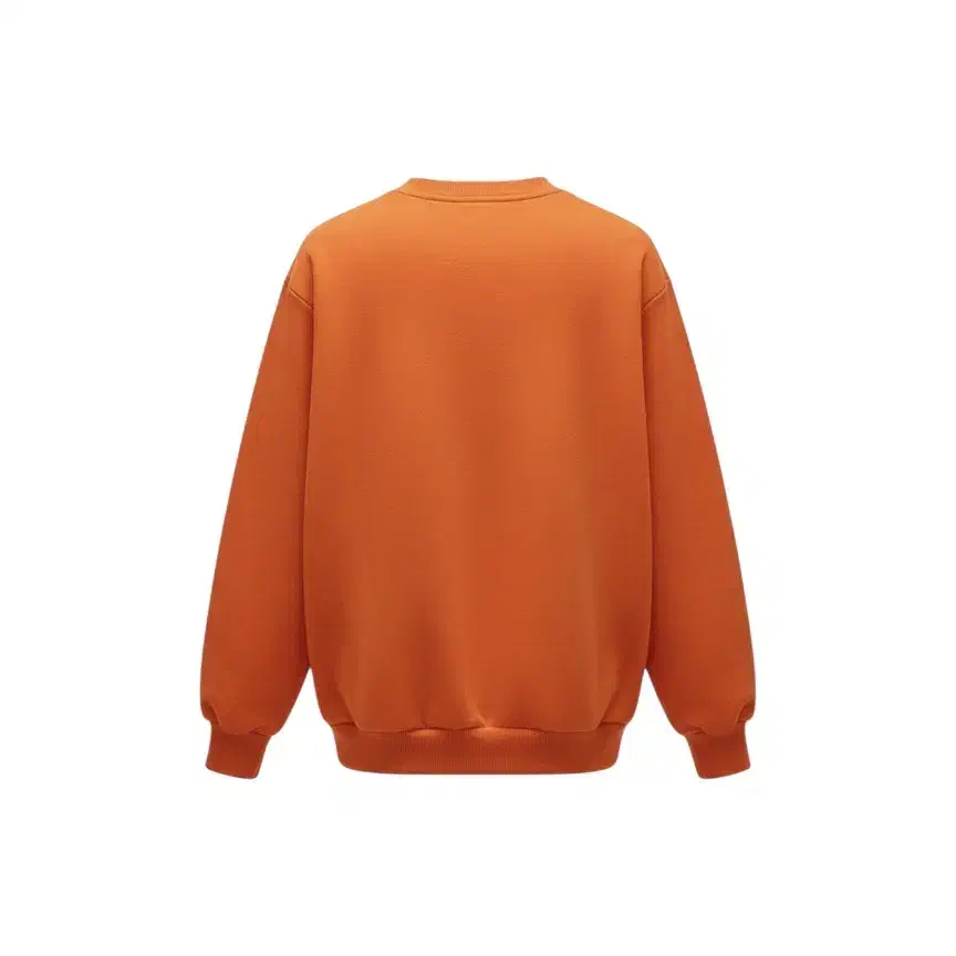 شومیز|لباس|رشت, پل تالشان|دیوار