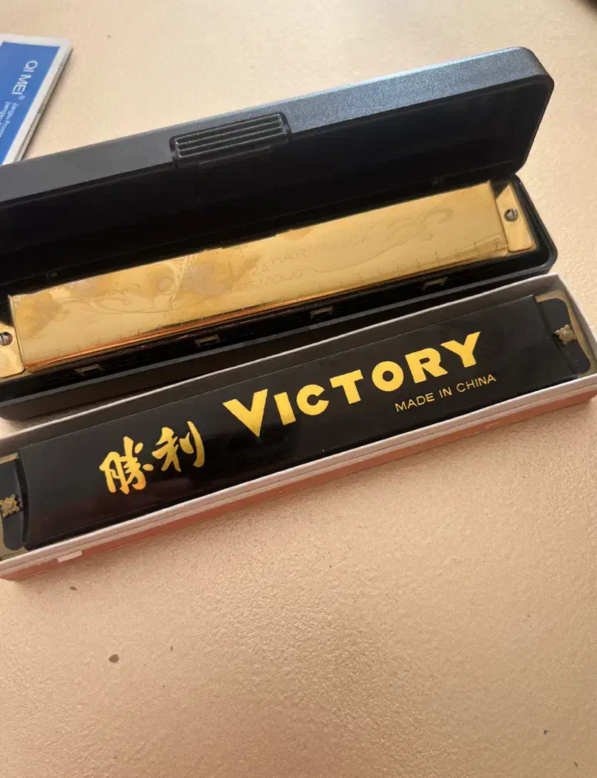 هارمونیکا سازدهنی|سازهای بادی|اصفهان, الهیه|دیوار