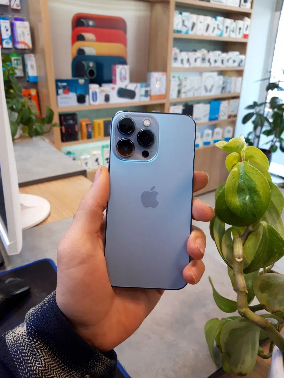 آیفون ۱۳پرو|موبایل|قزوین, |دیوار