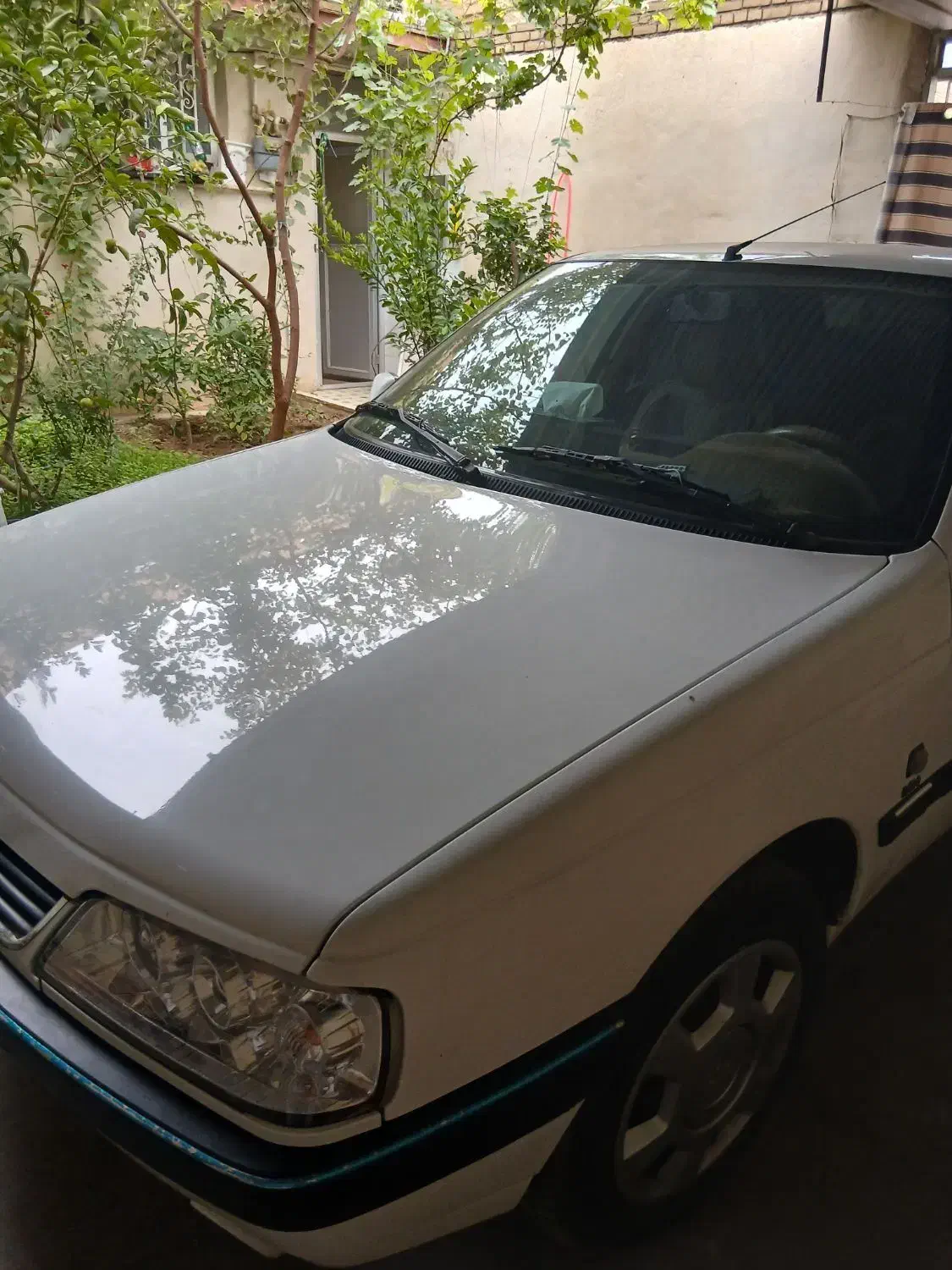 ماشین پژو دربست قم تهران|خدمات حمل و نقل|دزفول, |دیوار