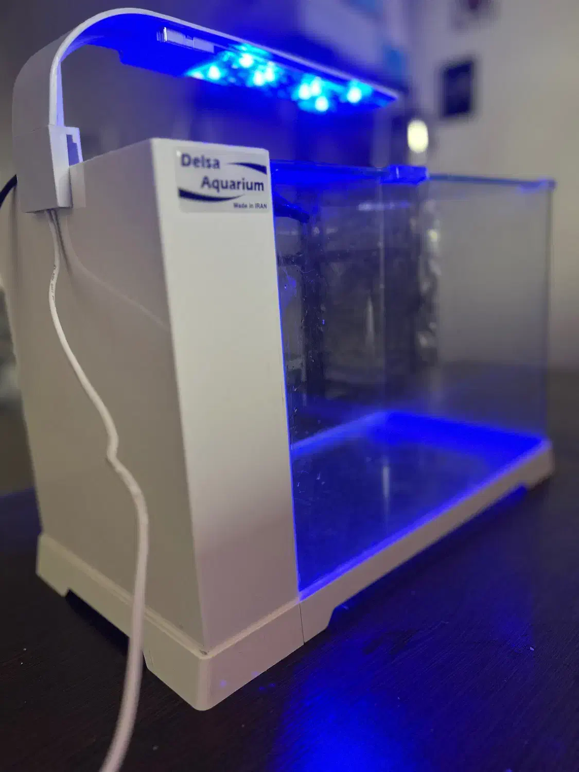 اکواریوم دلسا|ماهی|ساری, |دیوار