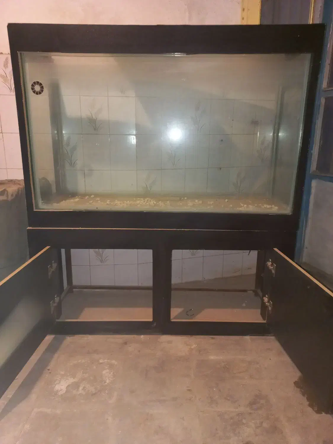 اکواریوم|ماهی|کرمان, |دیوار