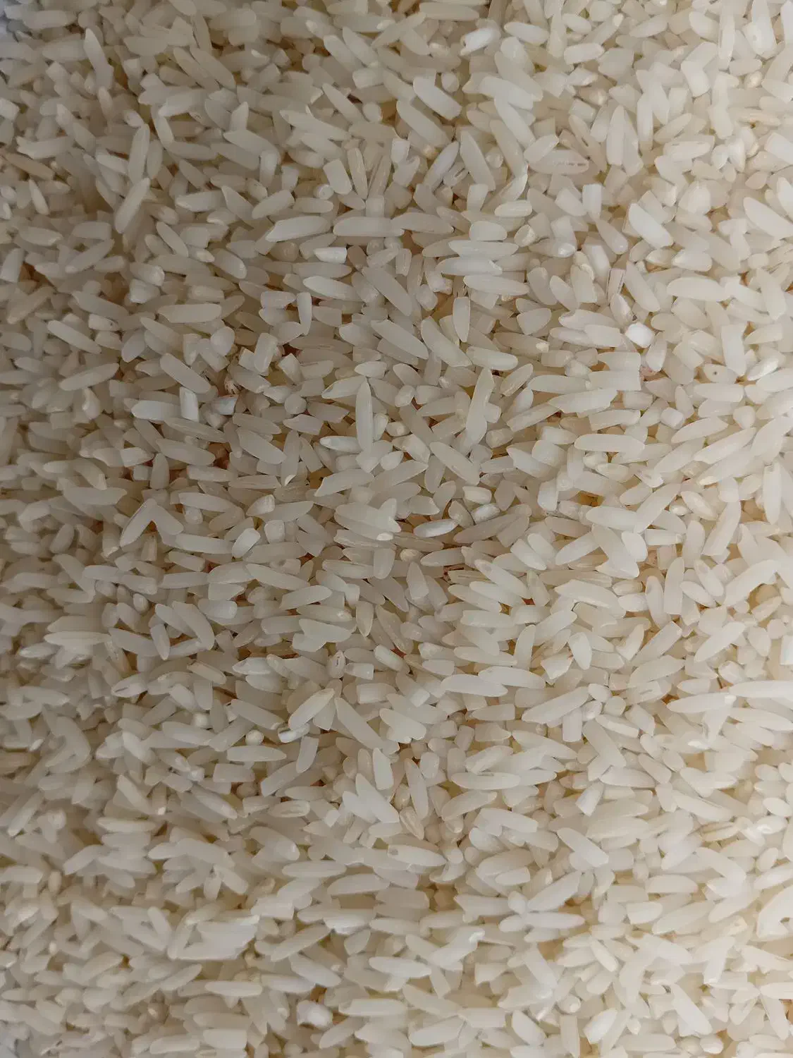 برنج لاشه هاشمی|خوردنی و آشامیدنی|کوچصفهان, |دیوار