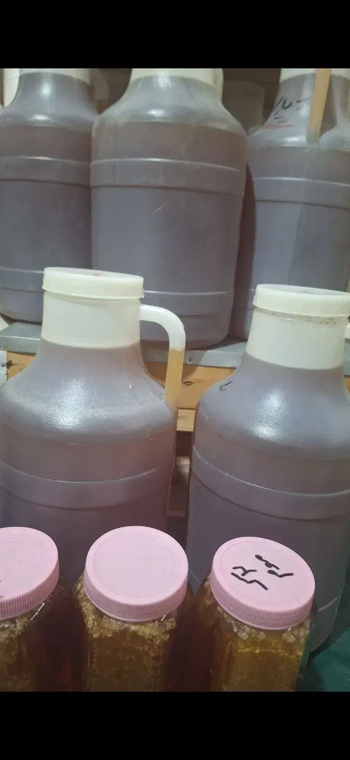 عسل به شرط و تضمینی|خوردنی و آشامیدنی|یاسوج, |دیوار