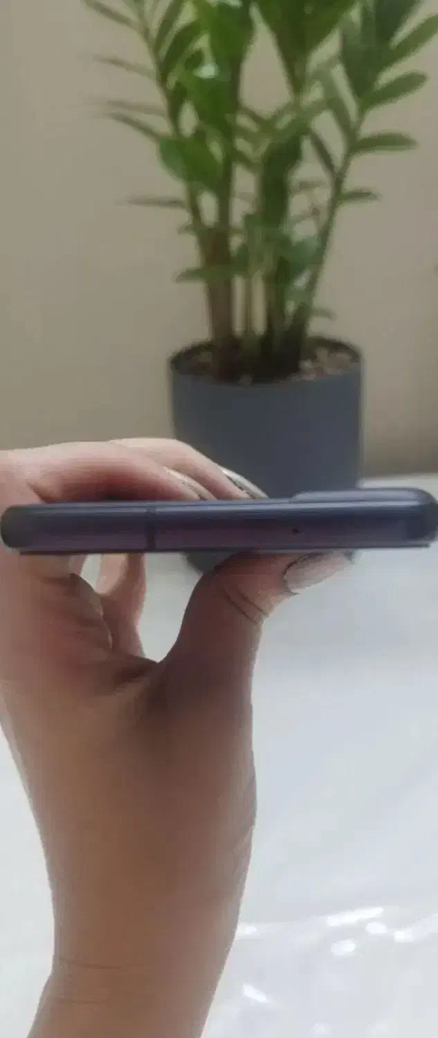 s21fe 5g 256 8|موبایل|ارومیه, |دیوار