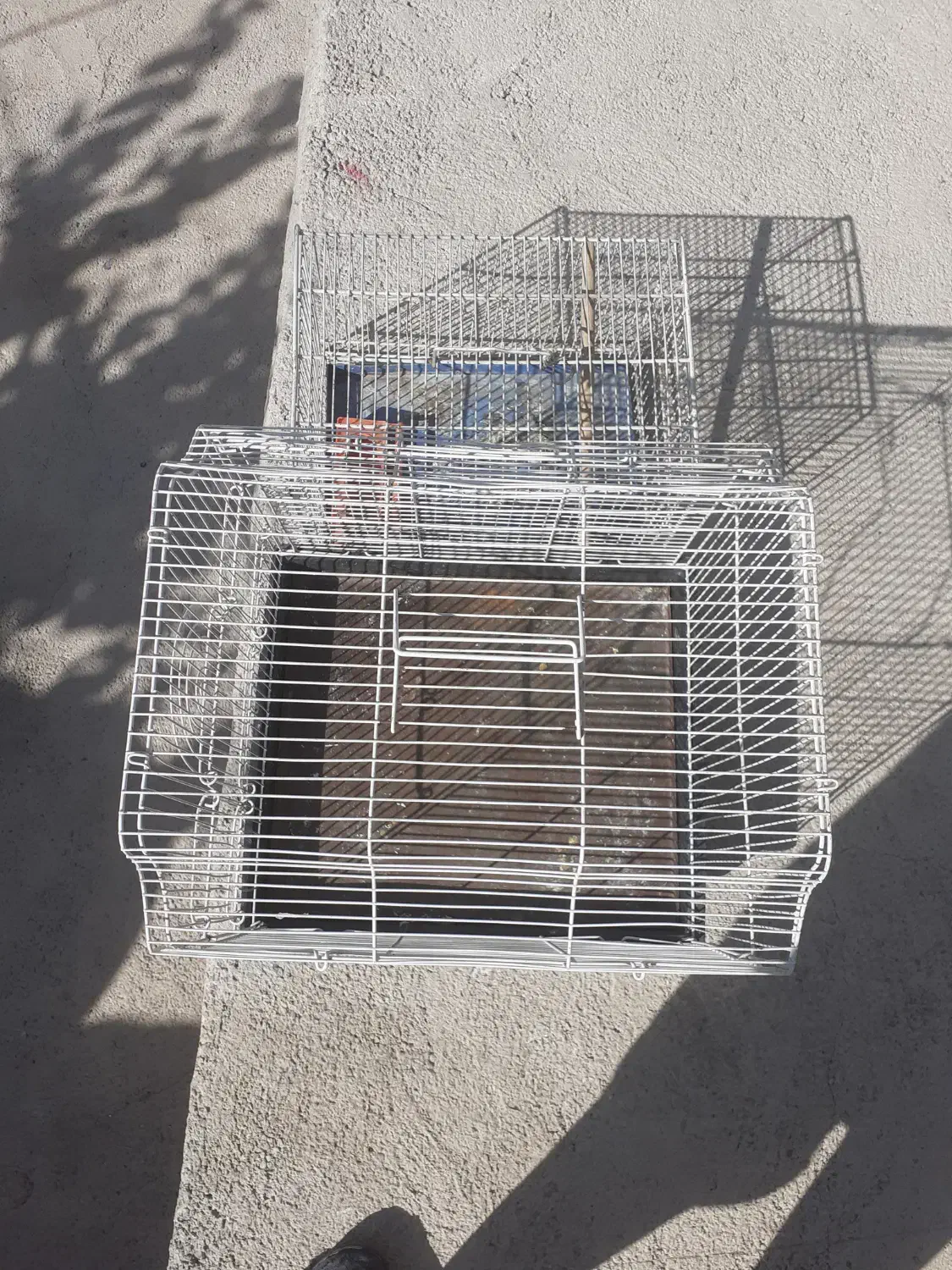 قفس پرند|لوازم جانبی حیوانات|پردیس, فاز ۴|دیوار