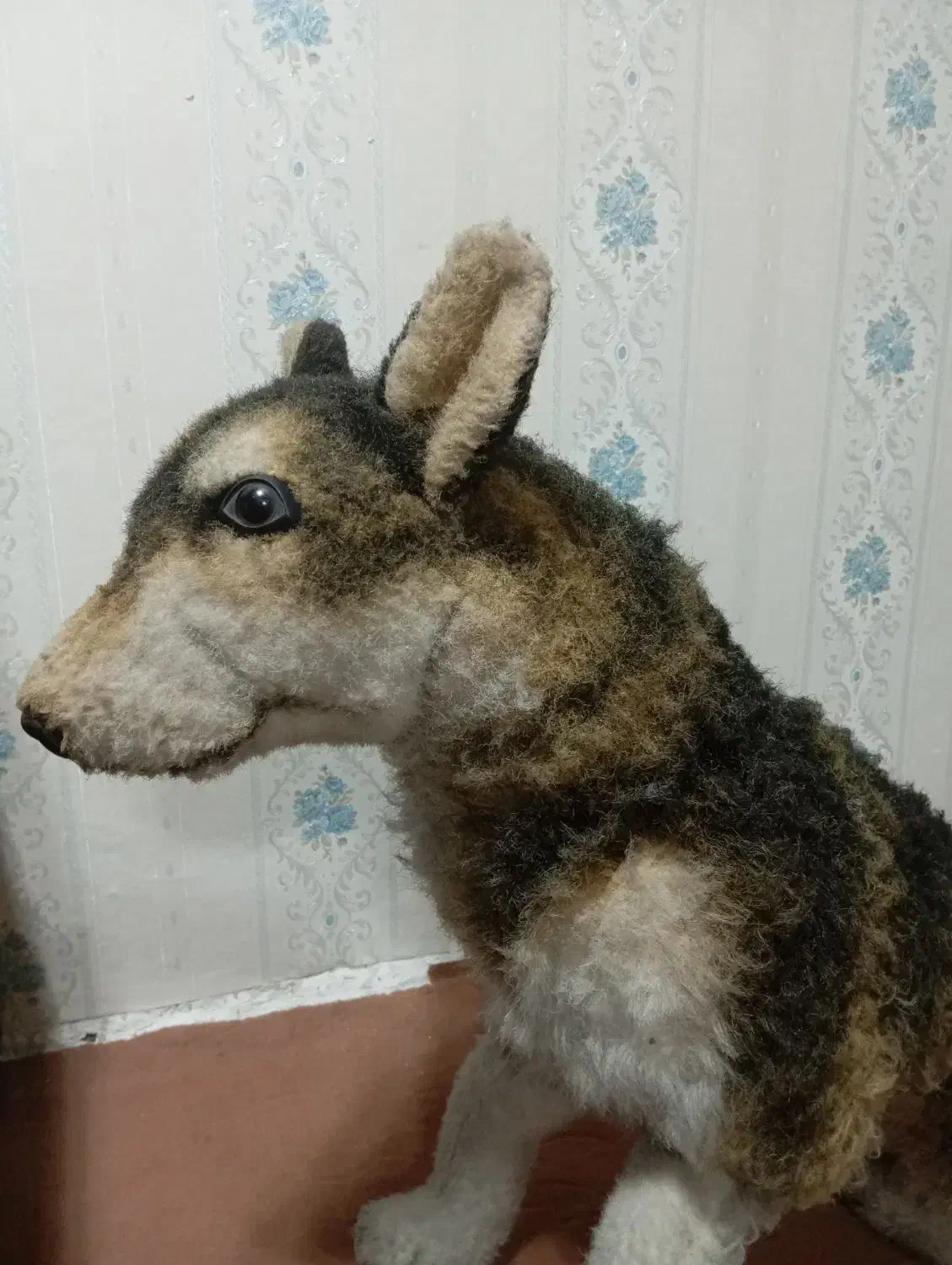 عروسک گرگی|اسباببازی|اسلامشهر, شهرک مهدیه|دیوار