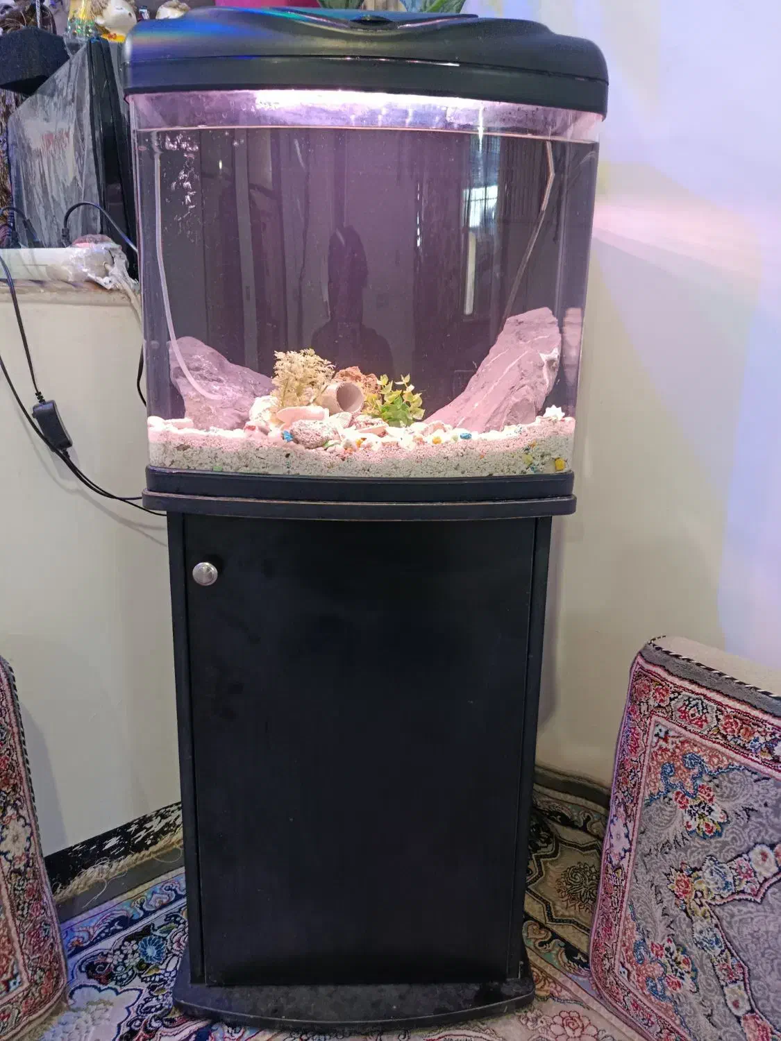 آکواریوم حرفه ای با لوازم کامل و میز|ماهی|زاهدان, |دیوار