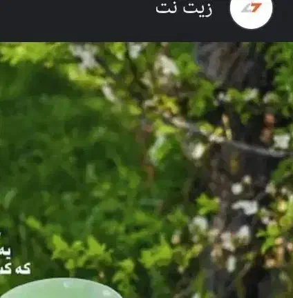 قرعه خانگی ۴۰۰|فعالیت داوطلبانه|شیراز, طلاب|دیوار