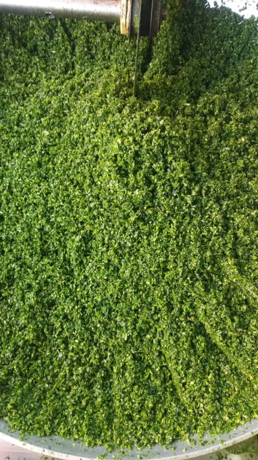 سبزی قورمه وکوکووآش وپلویی وشوید|خوردنی و آشامیدنی|اسلامشهر, شهرک محمدیه|دیوار