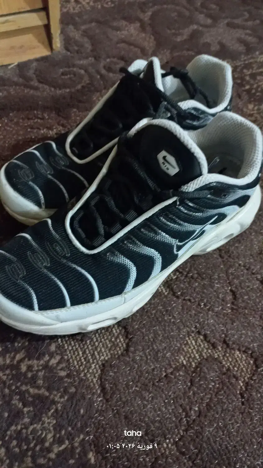 کتونی تی ان 41|کیف، کفش، کمربند|کرج, عظیمیه|دیوار