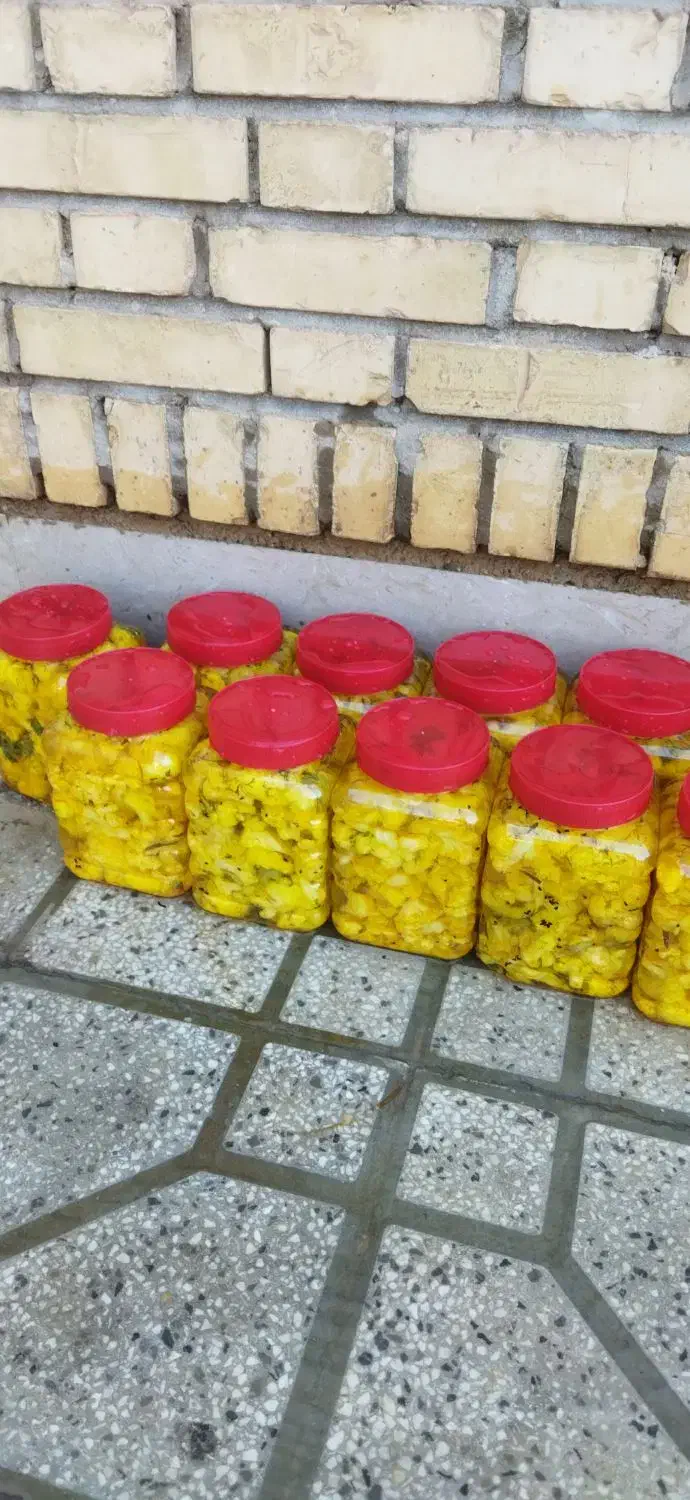 ترشی خانگی|خوردنی و آشامیدنی|شیراز, بهارستان|دیوار