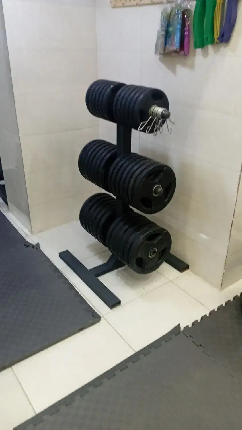 فیتنس و تناسب اندام|خدمات آموزشی|سنندج, |دیوار