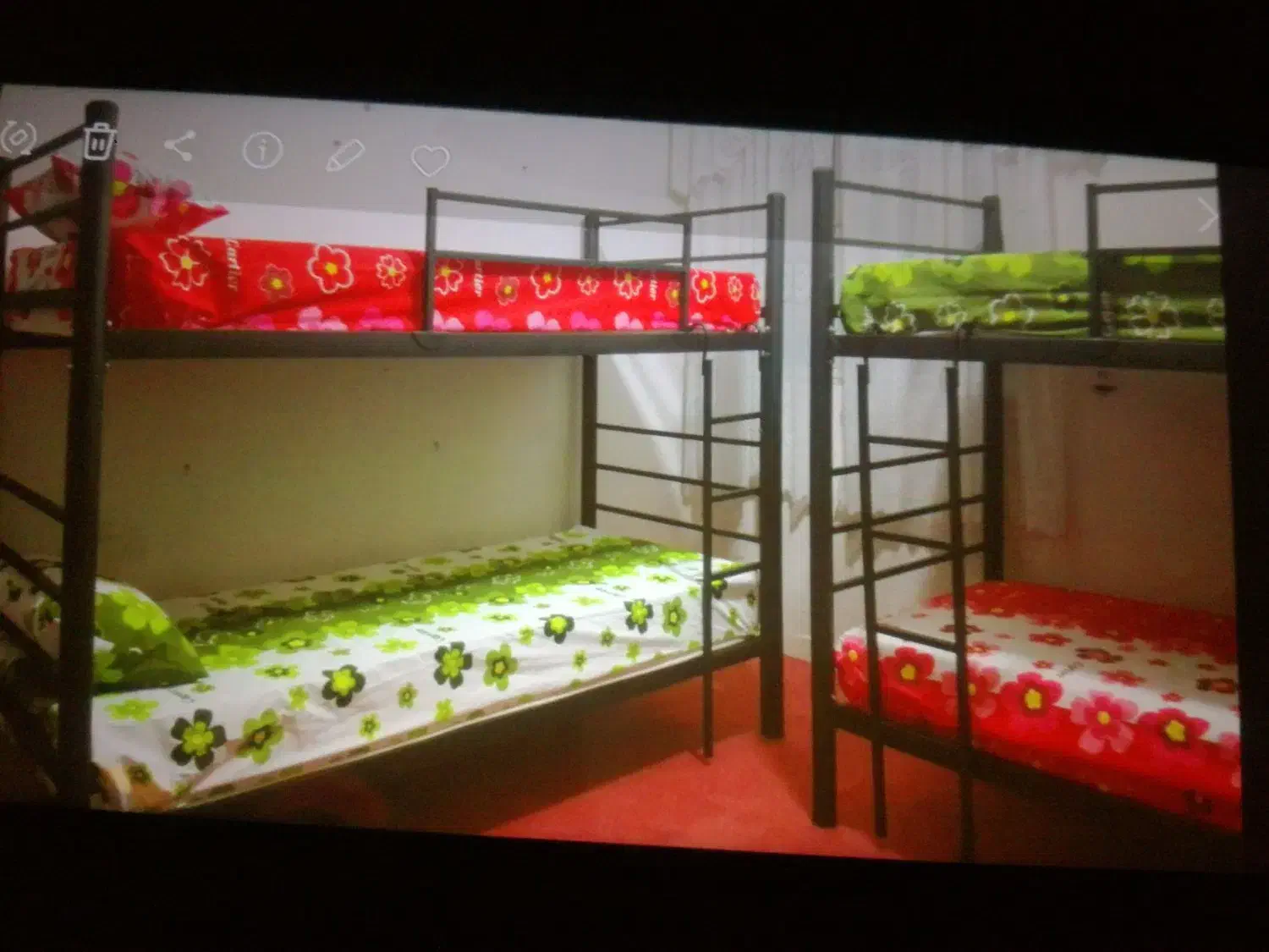 اجاره خوابگاه ویژه آقایان|اجارهٔ کوتاه‌مدت آپارتمان و سوئیت|بندرعباس, |دیوار