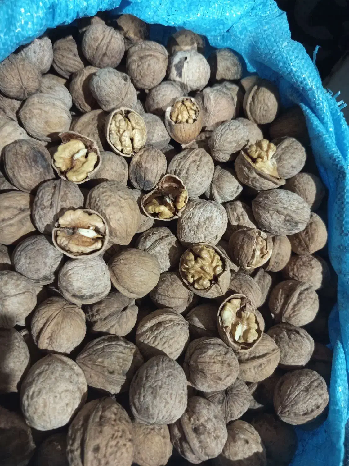 گردو|خوردنی و آشامیدنی|اشترینان, |دیوار