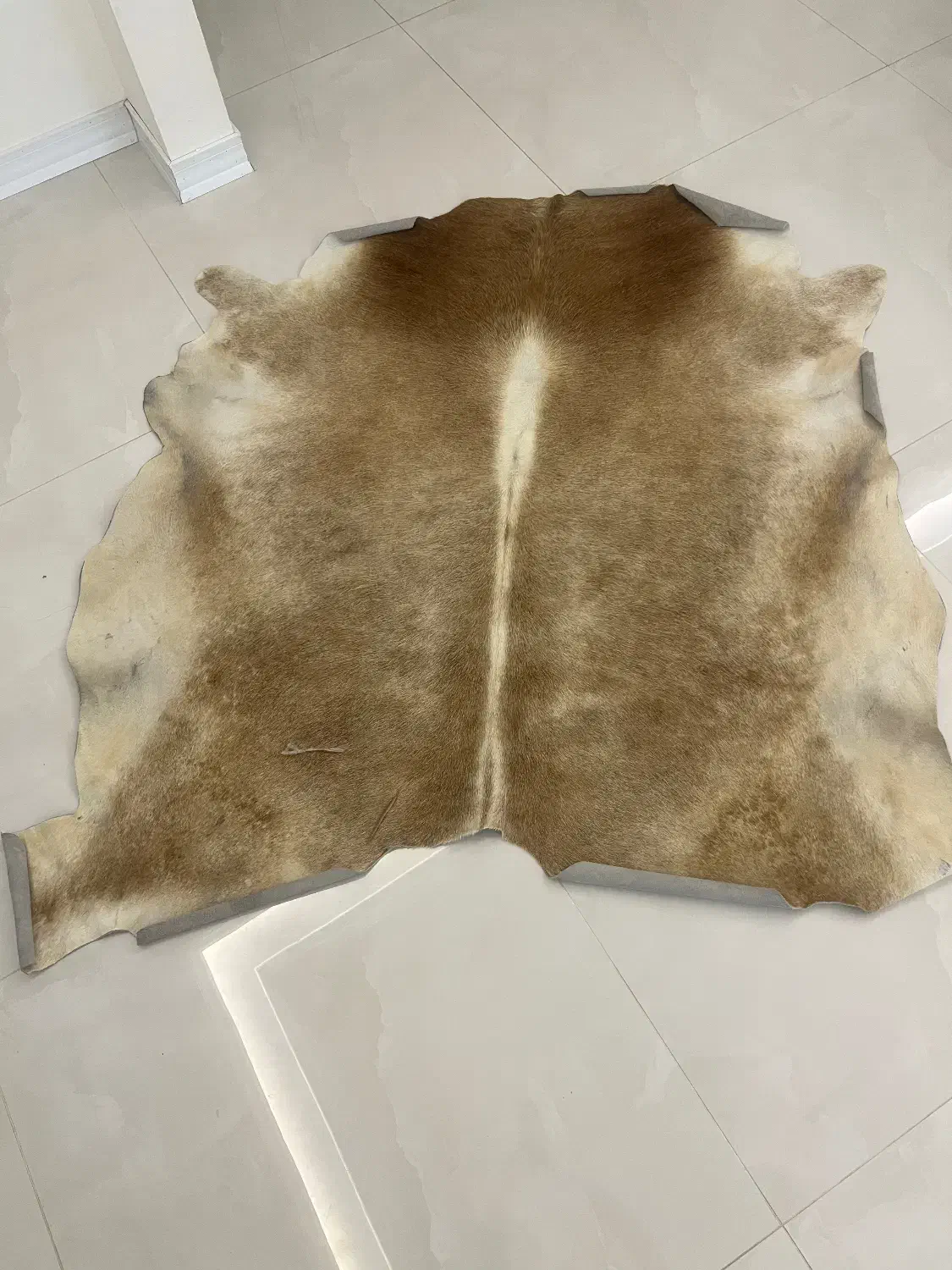 فرش پوست|فرش|مشهد, رضاشهر|دیوار