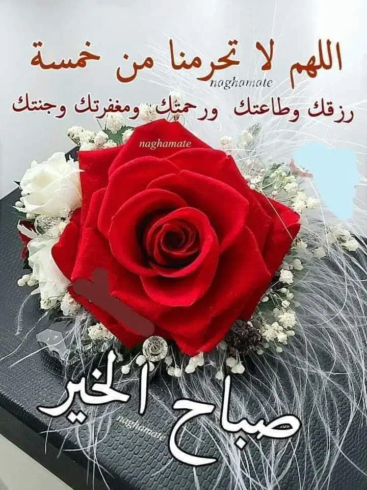 خدماتی نظافت ساختمان|خدمات نظافت|اهواز, کوروش|دیوار