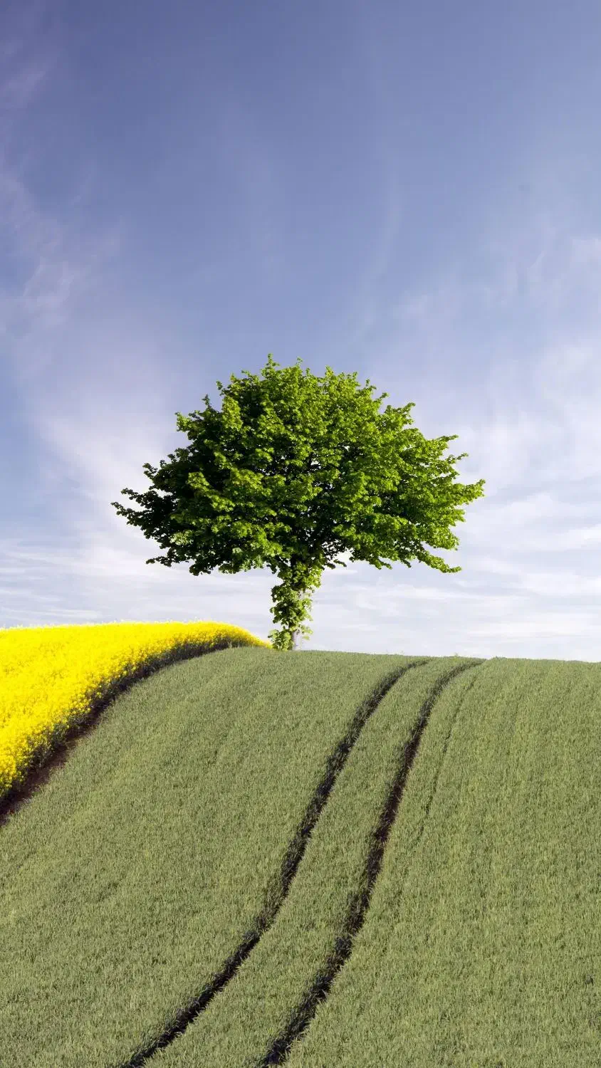 درخواست نمایندگی و همکاری|فعالیت داوطلبانه|خوی, |دیوار