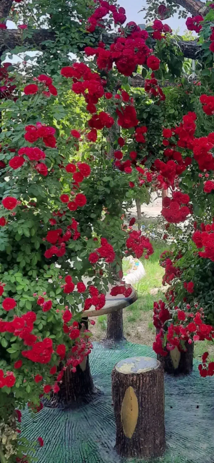 به یک نفر خانم جهت تمیز کاری باغ عروس|استخدام سرایداری و نظافت|میاندوآب, |دیوار